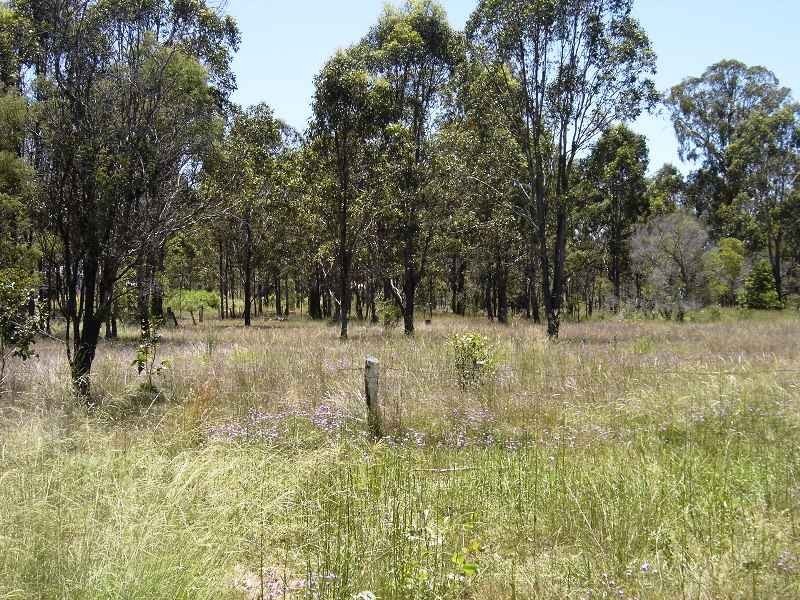 19 Home Street, Nanango QLD 4615