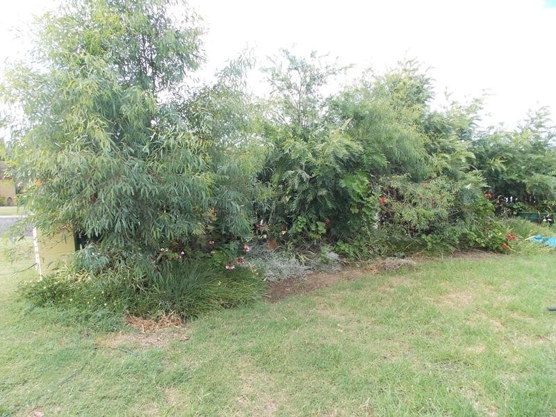 117 Brisbane Street, Nanango QLD 4615
