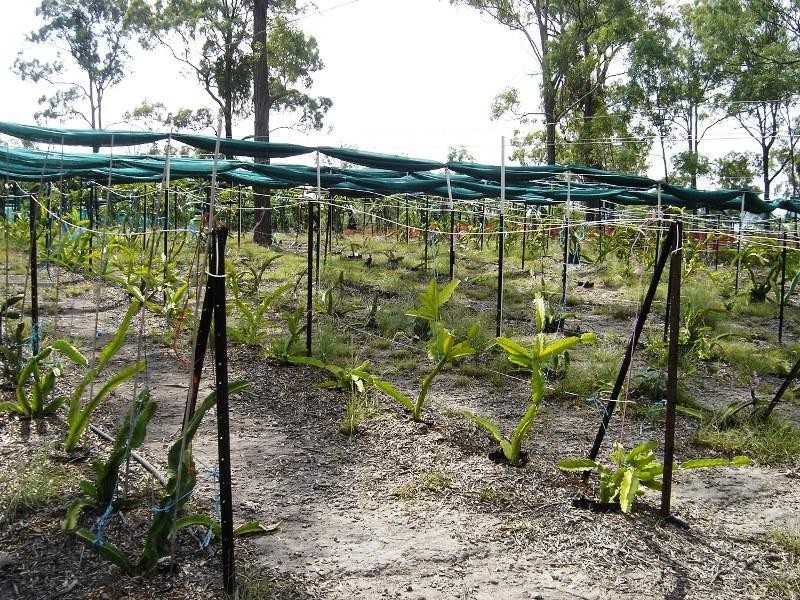 11 Weeronga Place, South Nanango QLD 4615