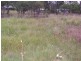 Lot 4 Old Esk North Road, Nanango QLD 4615