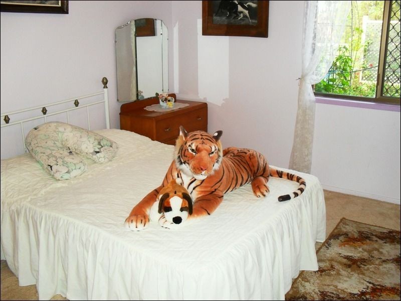 7 Birdie Street, Nanango QLD 4615