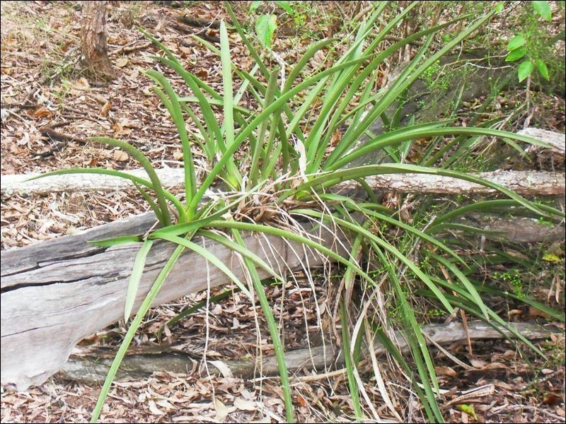 101 Norman Road, Nanango QLD 4615