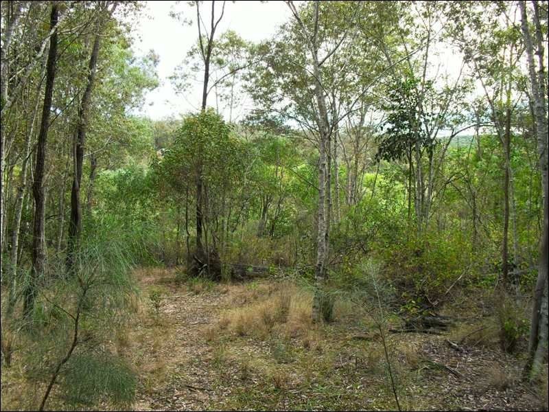 101 Norman Road, Nanango QLD 4615