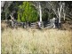 L65 New England Highway, Yarraman QLD 4614
