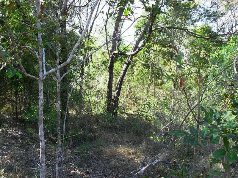 Lot 4 Izzard Road, Nanango QLD 4615