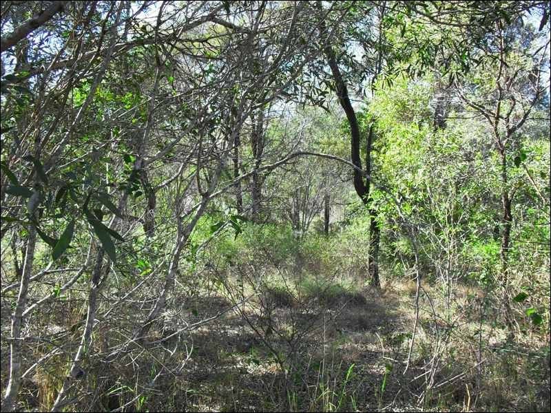 Lot 4 Izzard Road, Nanango QLD 4615