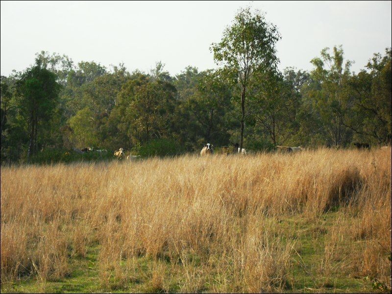 Lot 556 Din Din Road, Yarraman QLD 4614