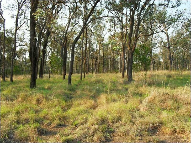 Lot 556 Din Din Road, Yarraman QLD 4614