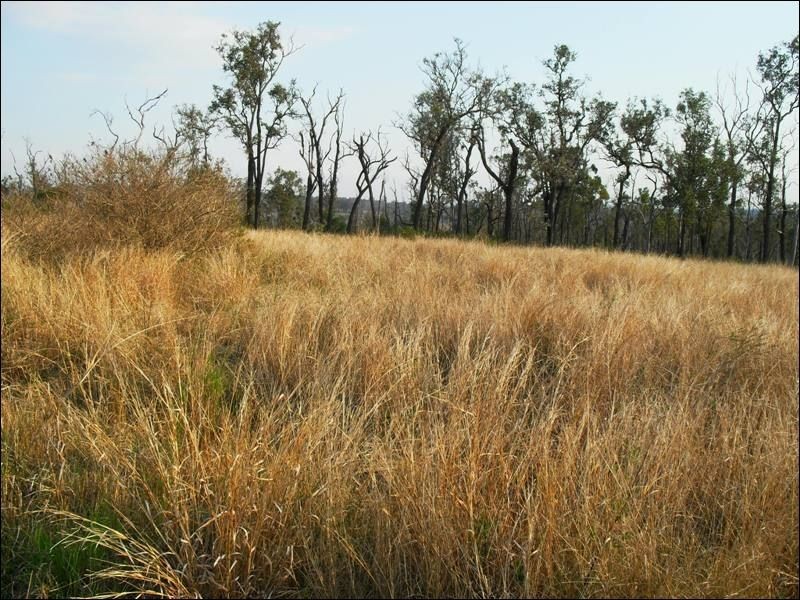 Lot 556 Din Din Road, Yarraman QLD 4614