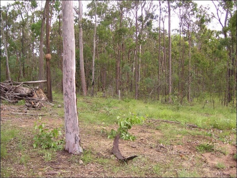 525 Walsh Road, Runnymede QLD 4615