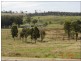 656 Noora Road, Yarraman QLD 4614