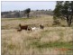 656 Noora Road, Yarraman QLD 4614