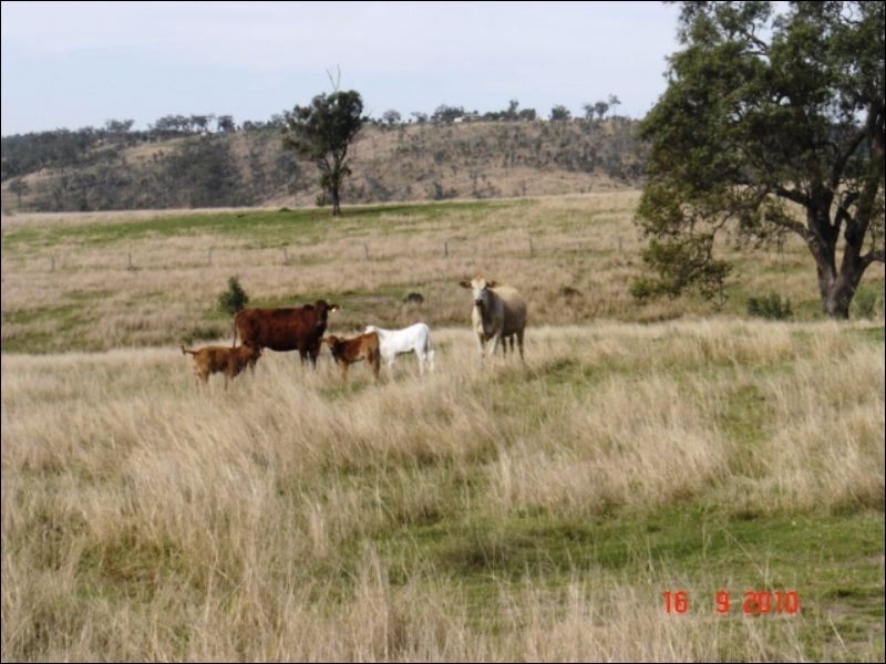 656 Noora Road, Yarraman QLD 4614