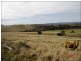 656 Noora Road, Yarraman QLD 4614