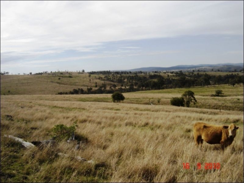 656 Noora Road, Yarraman QLD 4614