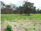 62 Tara Avenue, Nanango QLD 4615