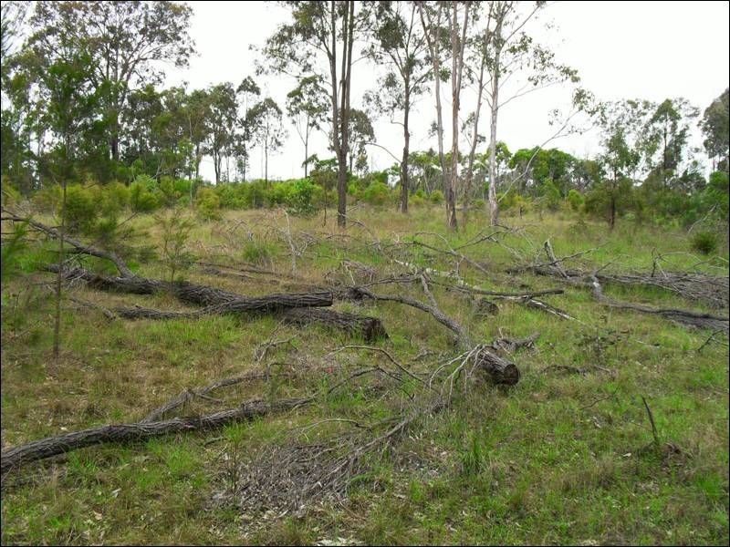 47 Tarong Road, Nanango QLD 4615