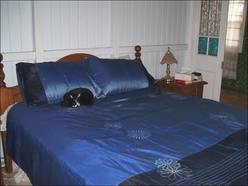 26 Racecourse Road, Nanango QLD 4615