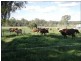 Nanango QLD 4615