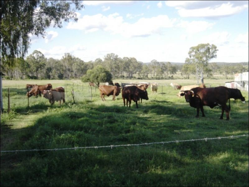 Nanango QLD 4615