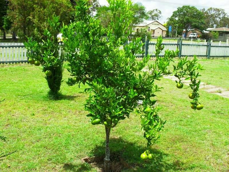 14 Main Street, Maidenwell QLD 4615