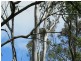 173 Franklin Road, Wattle Camp QLD 4615