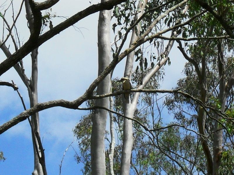173 Franklin Road, Wattle Camp QLD 4615