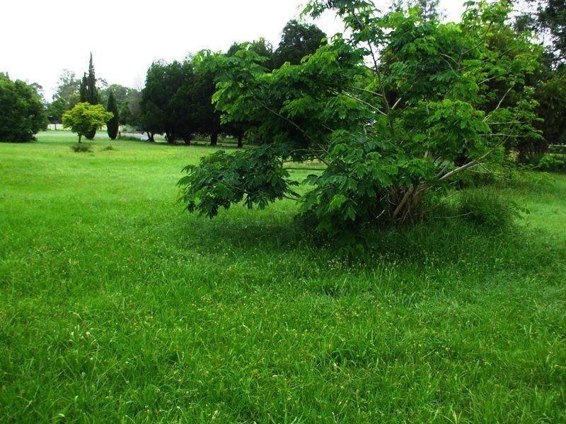 62 Gipps Street, Nanango QLD 4615