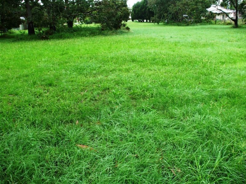 62 Gipps Street, Nanango QLD 4615