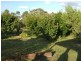 60 Grey Street, Nanango QLD 4615