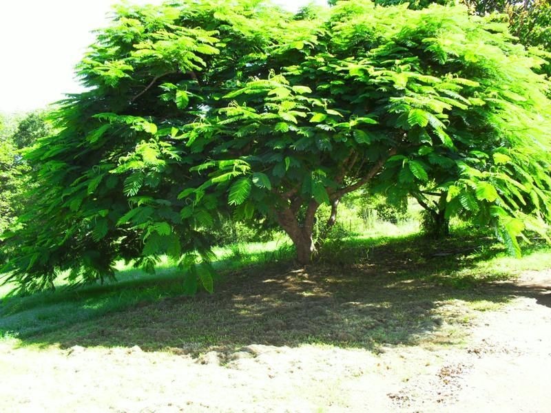 270 Brights Road, Nanango QLD 4615