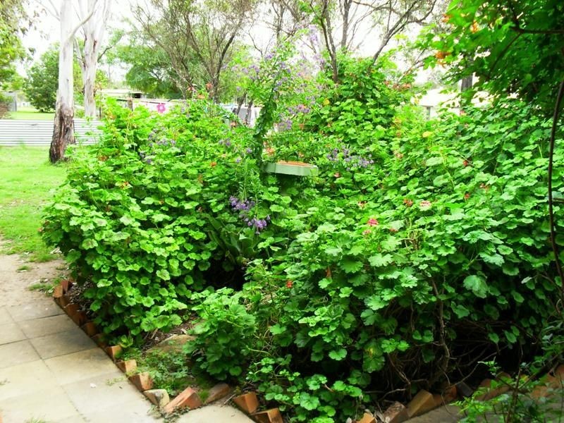 27B Cairns Street, Nanango QLD 4615