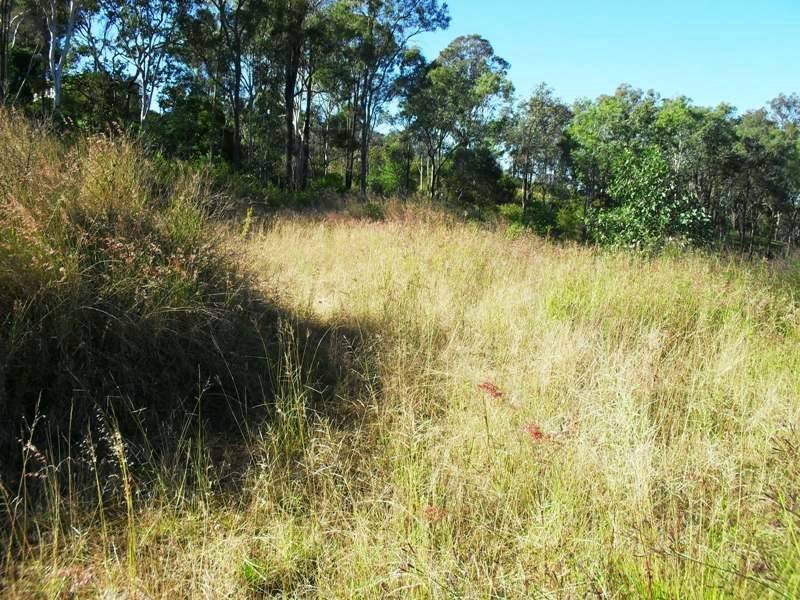 234  Hospital Terrace, Nanango QLD 4615