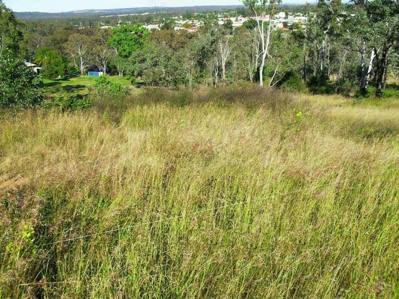 234  Hospital Terrace, Nanango QLD 4615