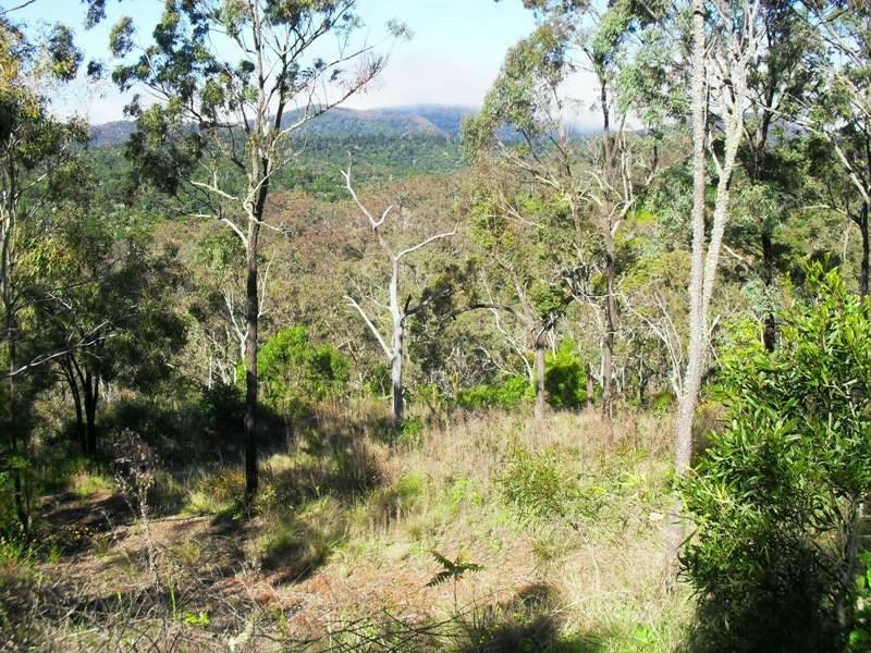 L21 Red Cedar Drive, Wengenville QLD 4615