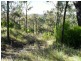 L21 Red Cedar Drive, Wengenville QLD 4615