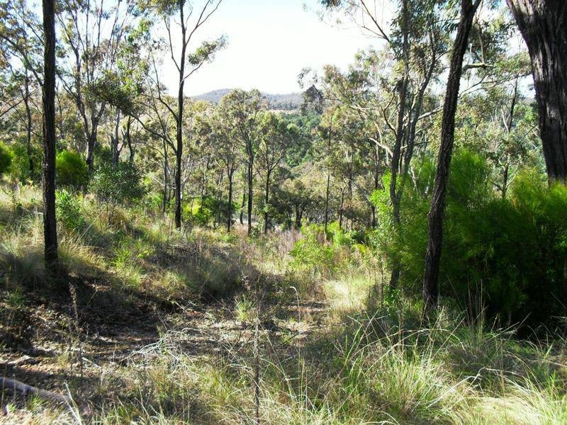 L21 Red Cedar Drive, Wengenville QLD 4615