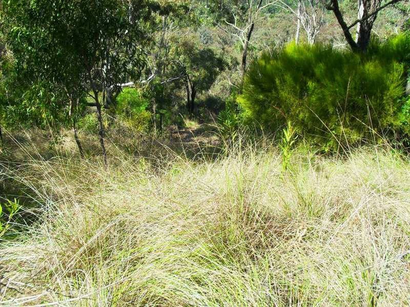 L21 Red Cedar Drive, Wengenville QLD 4615