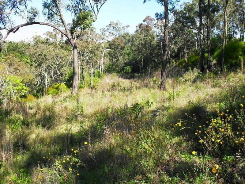 L21 Red Cedar Drive, Wengenville QLD 4615