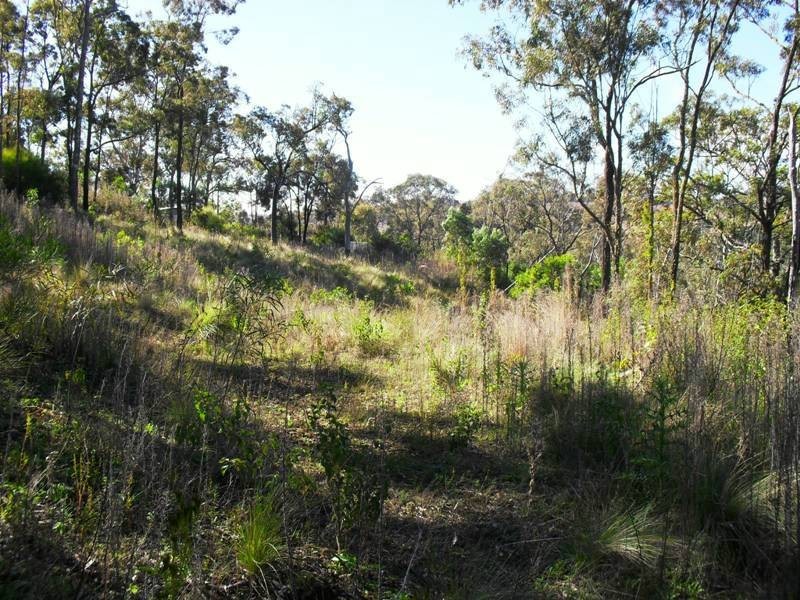 L21 Red Cedar Drive, Wengenville QLD 4615