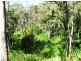 L21 Red Cedar Drive, Wengenville QLD 4615