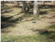 211 Old Esk North Road, Nanango QLD 4615