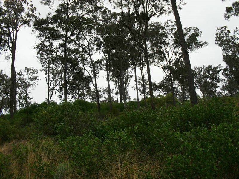 5 Norman Road, Tarong QLD 4615