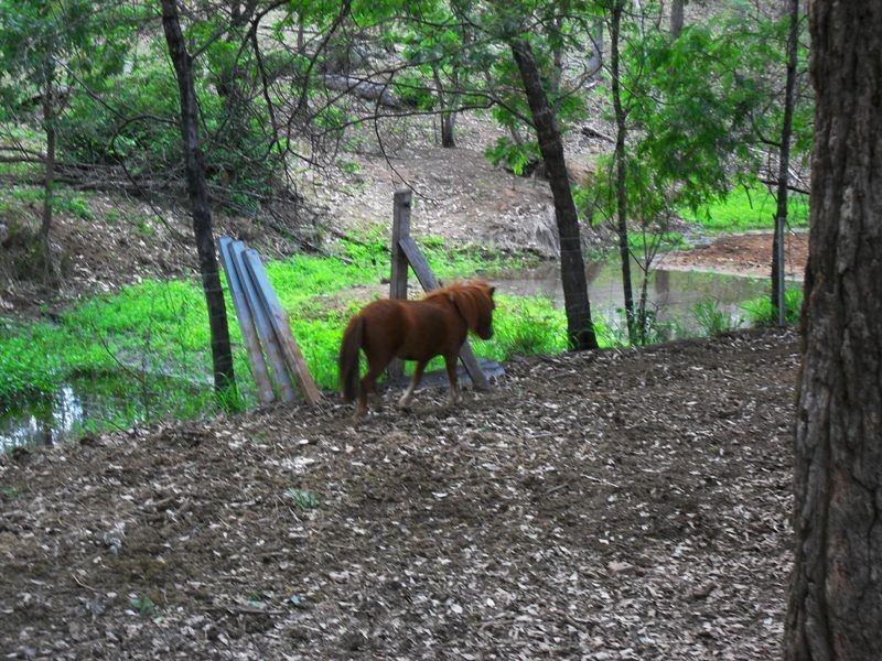 L400 Burnett Highway, Nanango QLD 4615