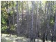 L24 Wattle Camp Road, Wattle Camp QLD 4615