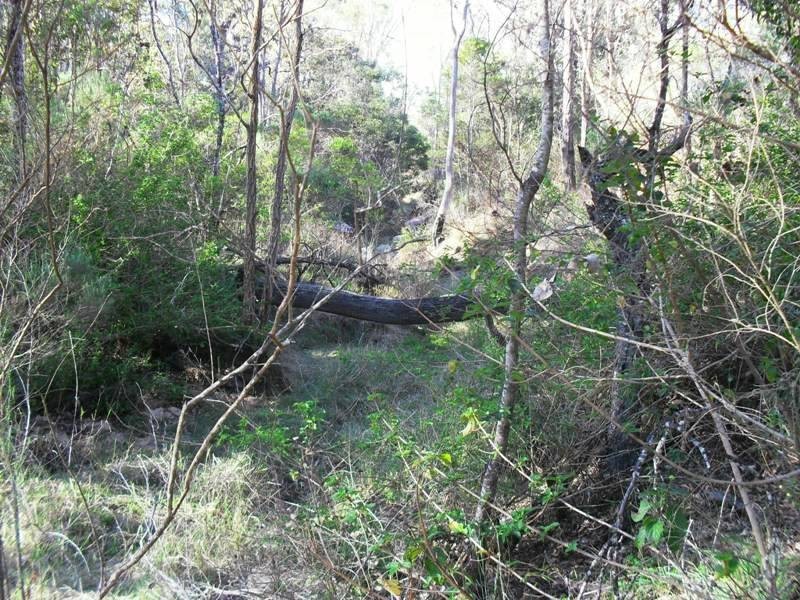 L7 Camp Creek Road, Nanango QLD 4615