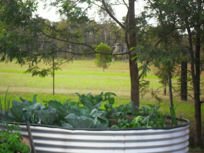 52 Brocklehurst Road, Wattle Camp QLD 4615