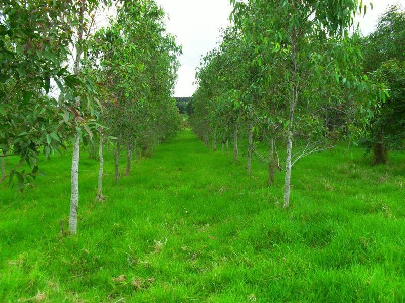 26 Behs Road, Nanango QLD 4615