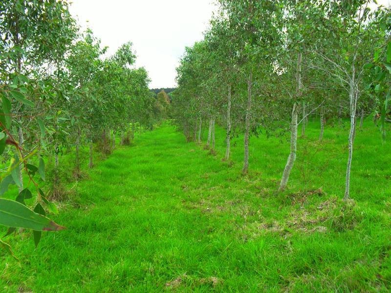 26 Behs Road, Nanango QLD 4615