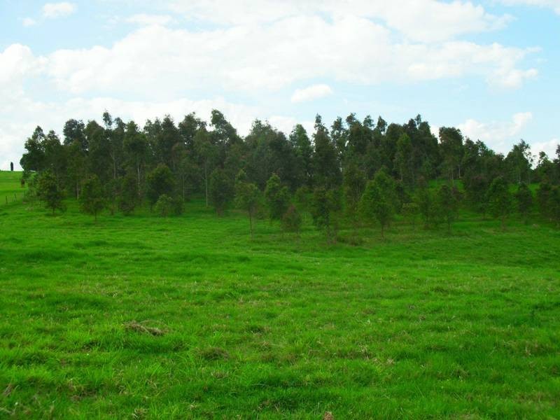 26 Behs Road, Nanango QLD 4615